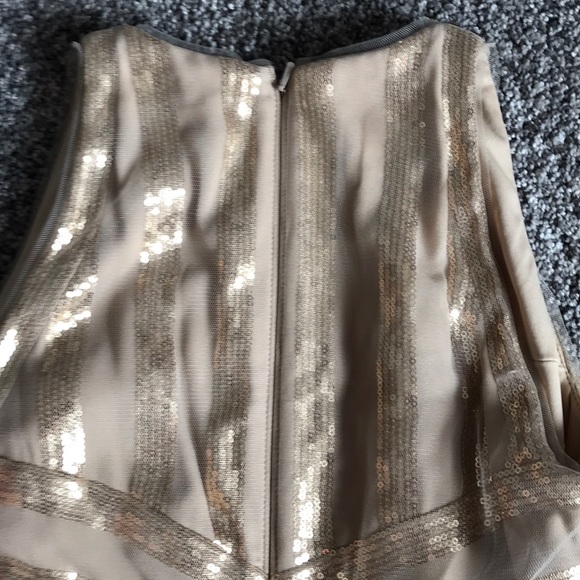 Tadashi Shoji tulle champagne dress 4 - Picture 6 of 6